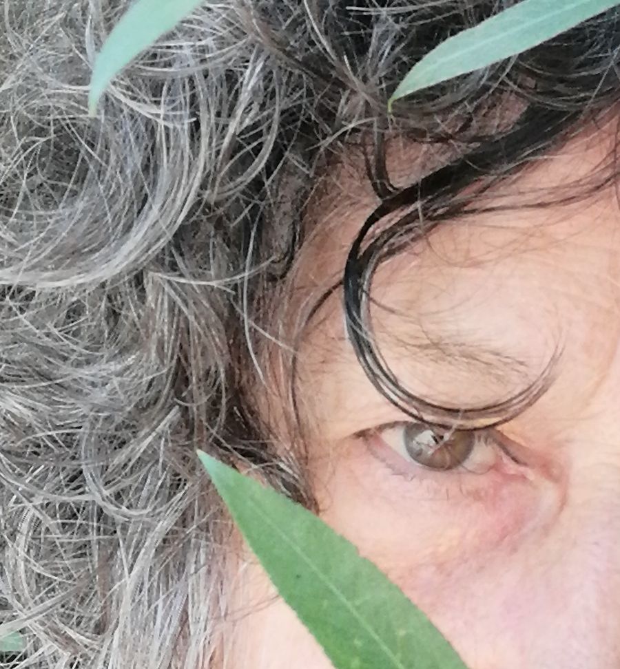 Le regard de Dominique entre des feuilles