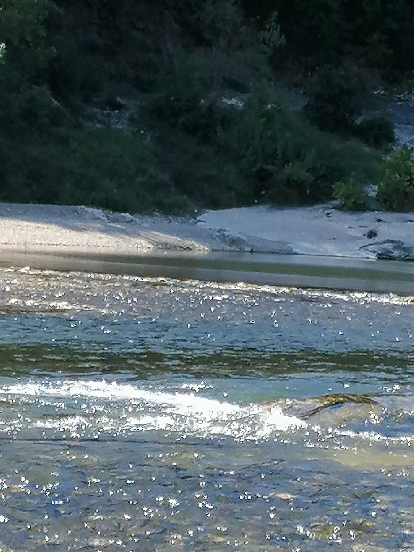 L'eau claire d'une rivière qui court sur les galets, au soleil